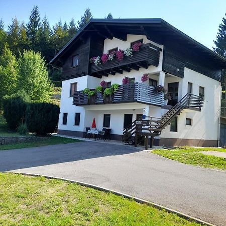 Gogo Lägenhet Delnice Exteriör bild