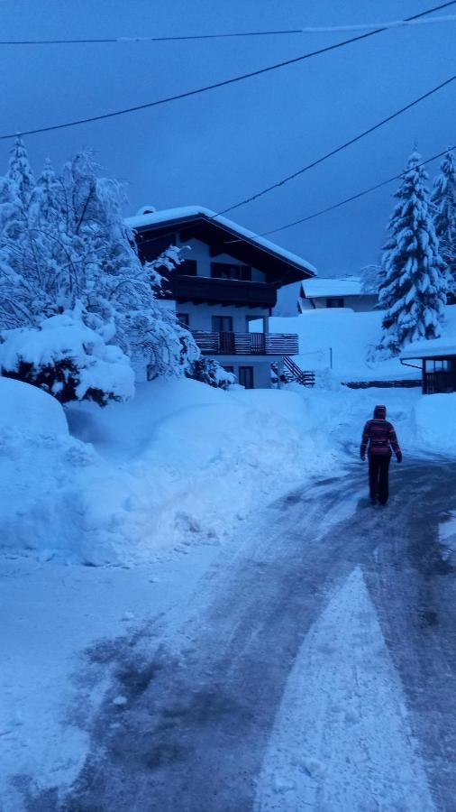 Gogo Lägenhet Delnice Exteriör bild