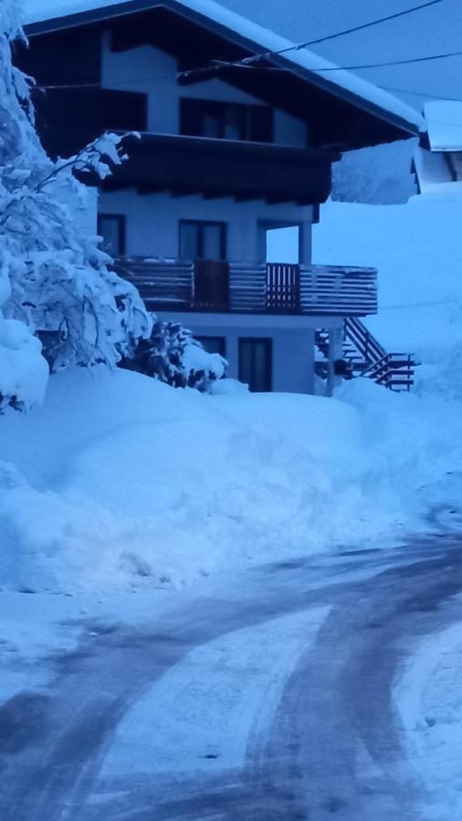 Gogo Lägenhet Delnice Exteriör bild