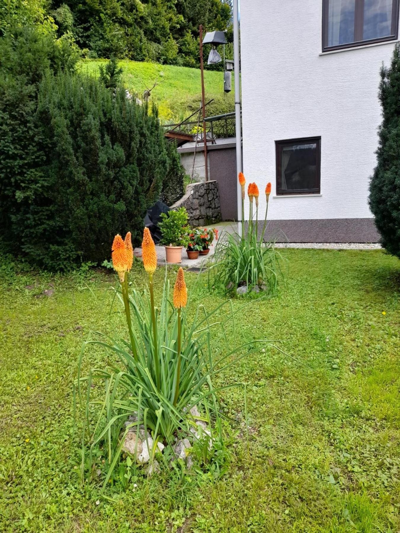 Gogo Lägenhet Delnice Exteriör bild